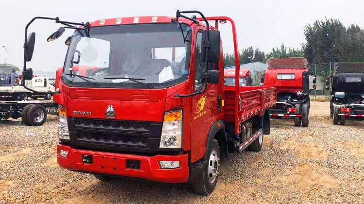 Howo 6x4 Light Duty Cargo Truck for Sale in Madagascar